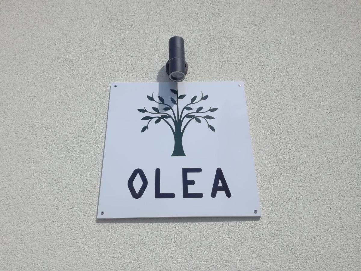 Olea Leilighet Tivat Eksteriør bilde